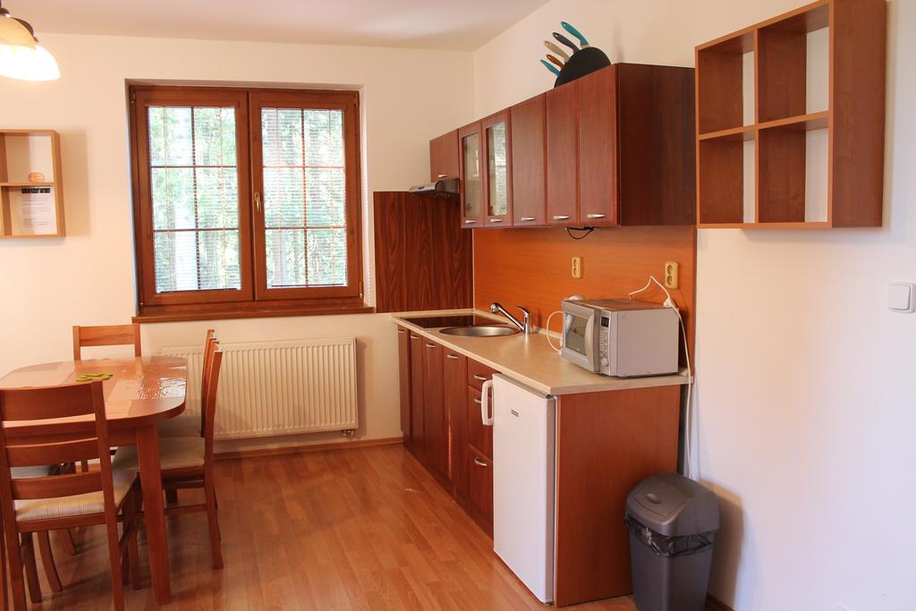 Apartmány Olympia Zelezna Ruda Exterior foto