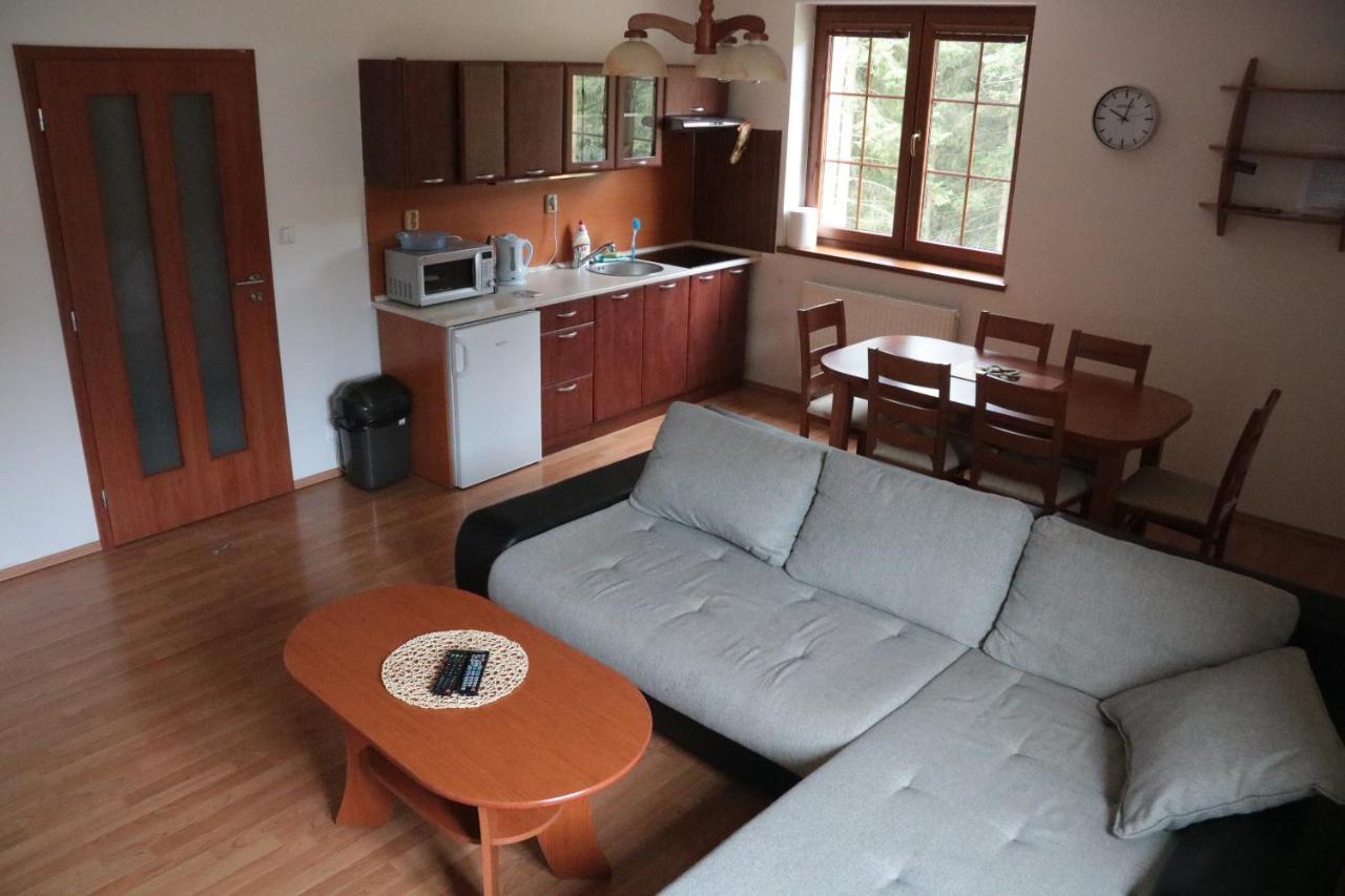 Apartmány Olympia Zelezna Ruda Exterior foto